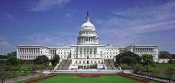 Image 1-31-25 at 12.01 PM